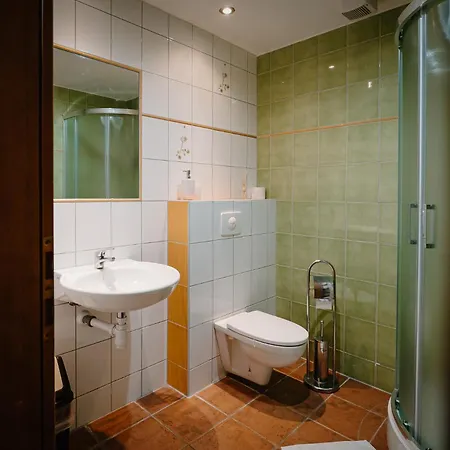 V Starom Mlyne Penzion Belá