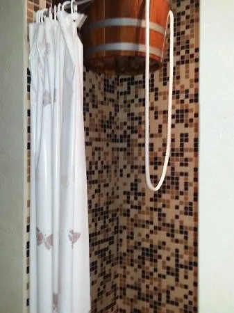 Guest house V Starom Mlyne *