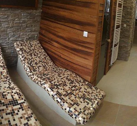 Guest house V Starom Mlyne *