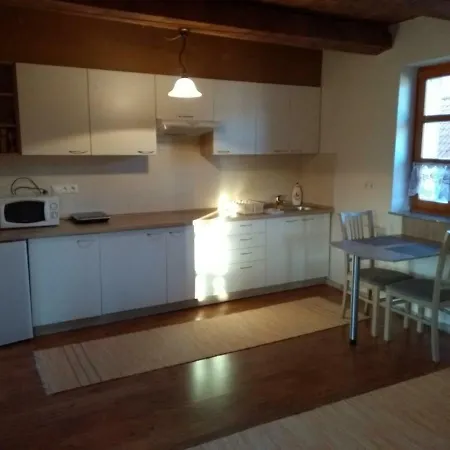 Guest house V Starom Mlyne *